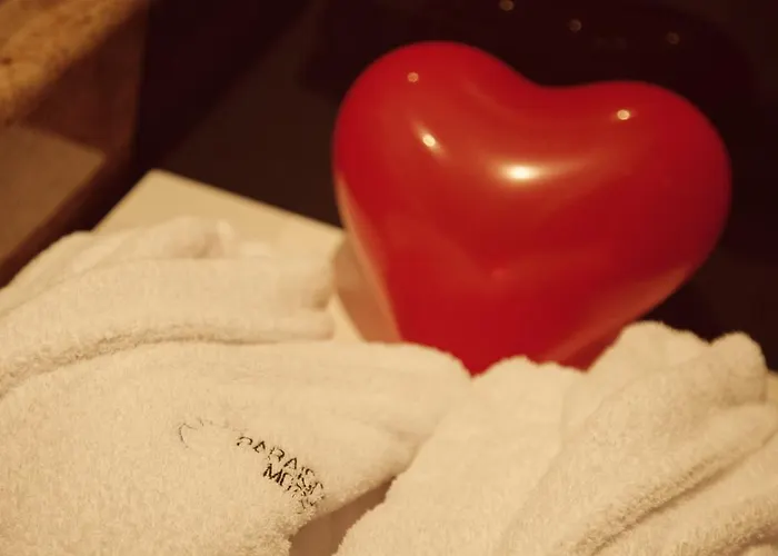 帕拉伊索汽车旅馆 酒店 2*